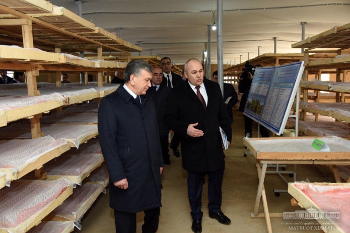 Президент ознакомился с инновационной гренарней в Термезском районе