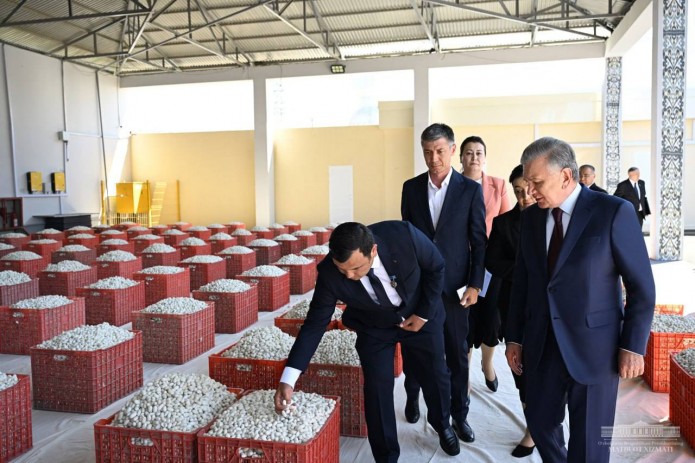 Prezident Shavkat Mirziyoyev “G‘ijduvon ipak tola” korxonasi faoliyati bilan tanishdi