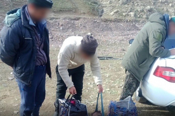 Toshkent viloyatida fuqarolar noqonuniy tarzda 11 ta sayroqi qushni ovlagani aniqlandi