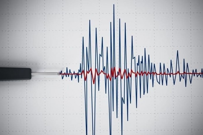 O’zbekistonning 5 ta hududida 2-3 balli zilzila sodir bo’ldi
