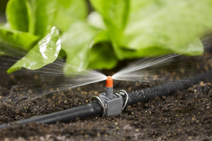 Sug'orishda suv yo'qotishlari kamaytiriladi