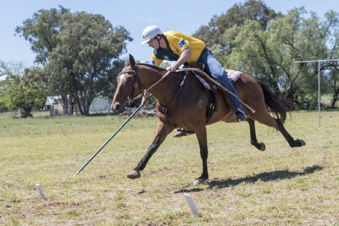 Ancient type of equestrian sport – ‘tent pegging’ to be developed, popularized in Uzbekistan
