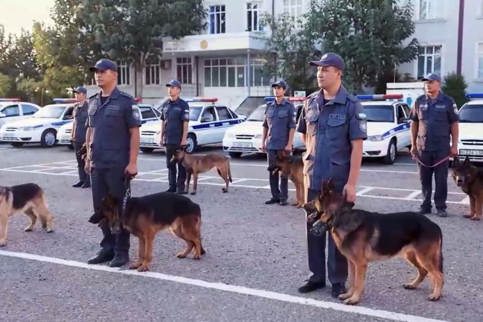 Andijonda Kinologiya bo‘linmasi ehtiyojlaridan ortiqcha bo‘lgan xizmat itlari sotilishi e'lon qilindi