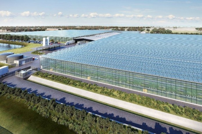 FoodVentures and Kubo express readiness to invest in Uzbekistan