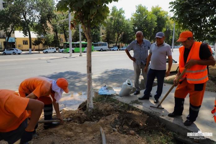Toshkent shahar Shota Rustaveli ko'chasidagi daraxtlarning ildiziga yo'l kengaytirilishi sabab zarar yetkazilganligi aniqlandi