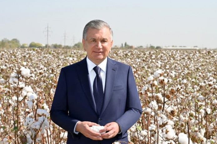 O‘zbekistonda paxta qulligi tugadi, terim endi “jazo” emas — Corriere della Sera