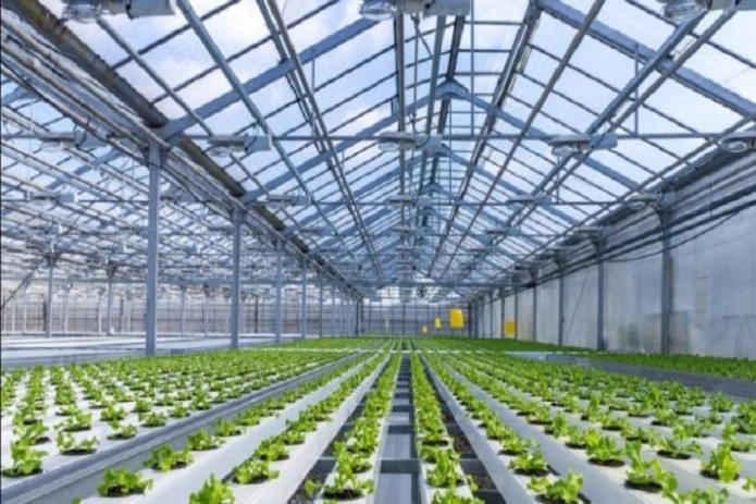 Olimlar yoqilg‘isiz ekoissiqxonalarni taklif qilmoqda