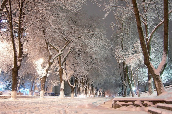 В ближайшие дни в Узбекистане ожидается снижение температуры до 10-15° мороза