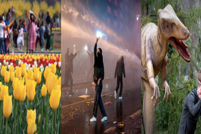 Xolli Xolsten qoramagiz