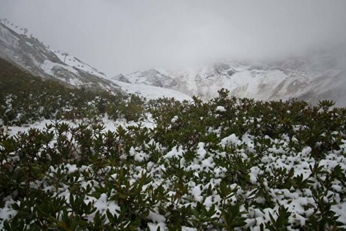 Во многих районах Узбекистана завтра ожидается снег