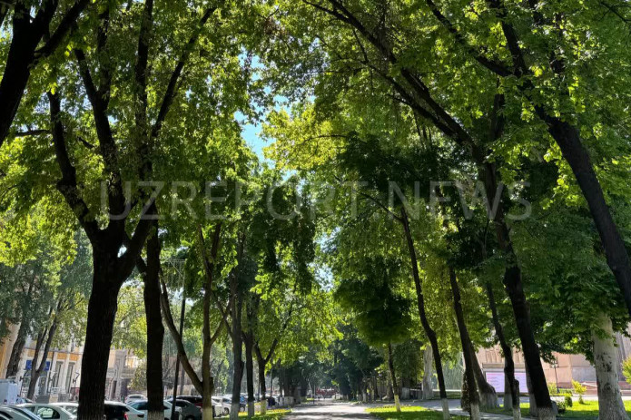 Hafta davomida havo harorati asta-sekin ko‘tarilishi kutilmoqda