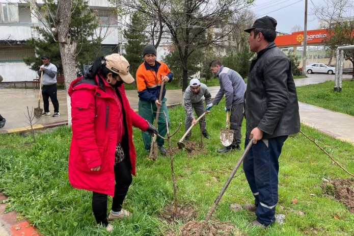 "Bir bolaga bir daraxt" mezoni asosida koʻp qavatli uylar atrofiga mevali va manzarali daraxt koʻchatlari oʻtkazilmoqda