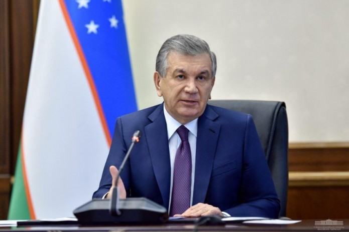 Mirziyoyev critisizes development of PPP