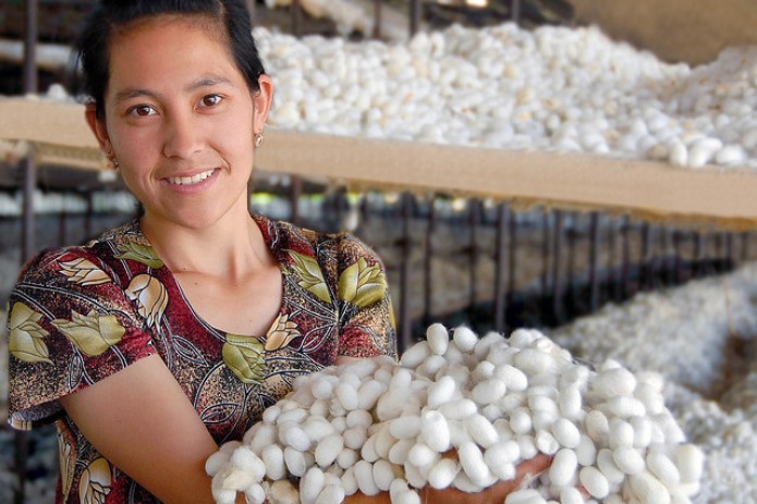 Uzbekistan joins International Sericultural Commission