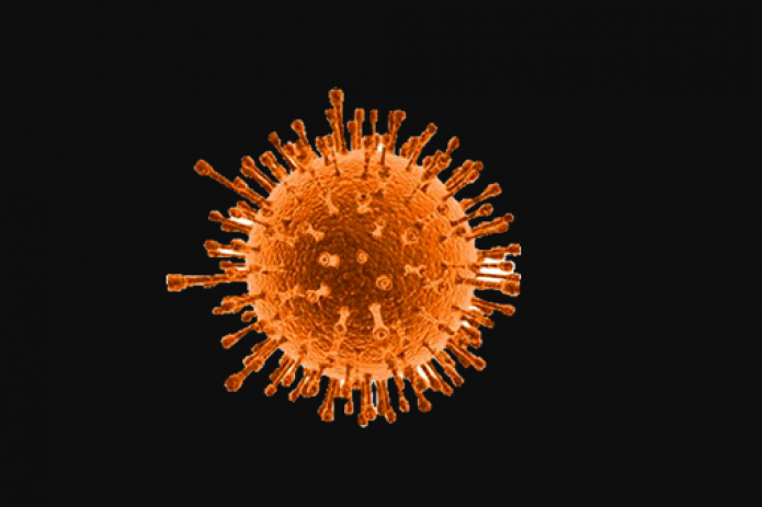 О ситуации вокруг распространения коронавируса в мире 8 августа