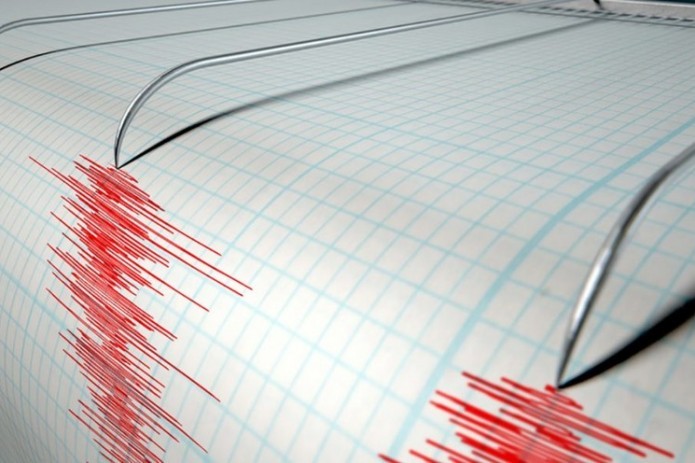 В нескольких областях Узбекистана ощущалось землетрясение