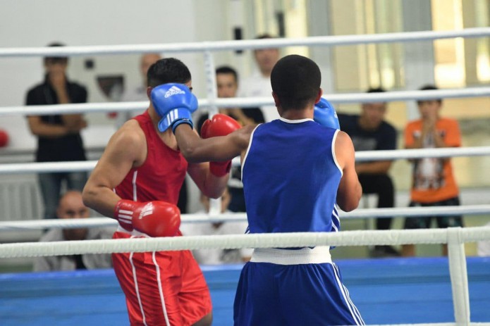 В четырёх областях появятся школы высшего спортивного мастерства по боксу