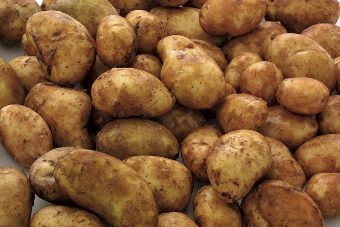 Uzbekistan returns tons of dangerous potatoes to Iran and Pakistan