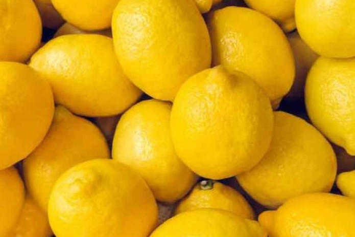 O‘zbekiston eng ko‘p Rossiyaga limon eksport qilgan