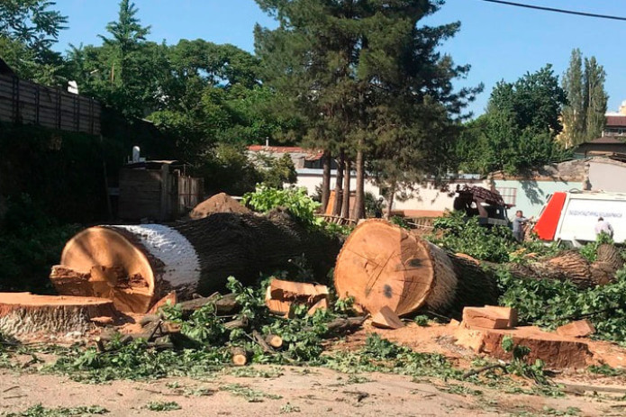 O‘zbekistonda so‘nggi 2,5 yilda tabiatga salkam 1 trln so‘m zarar yetkazildi