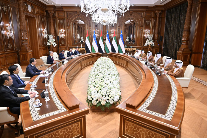 Shavkat Mirziyoyev BAA energetika va infratuzilma vaziri Suhayl al-Mazruiyni qabul qildi