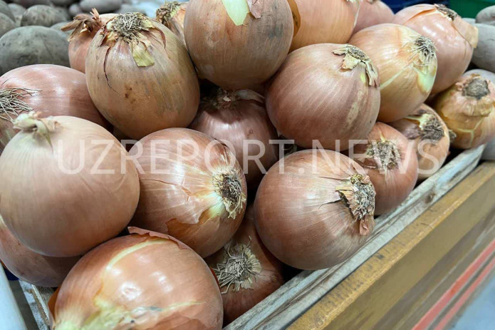 O‘zbekistonda piyoz narxi bir oy ichida 40%ga arzonlashdi