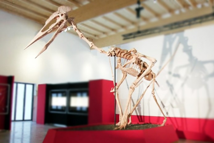 "Повелитель небес" - скелет гигантского птерозавра показали в Германии