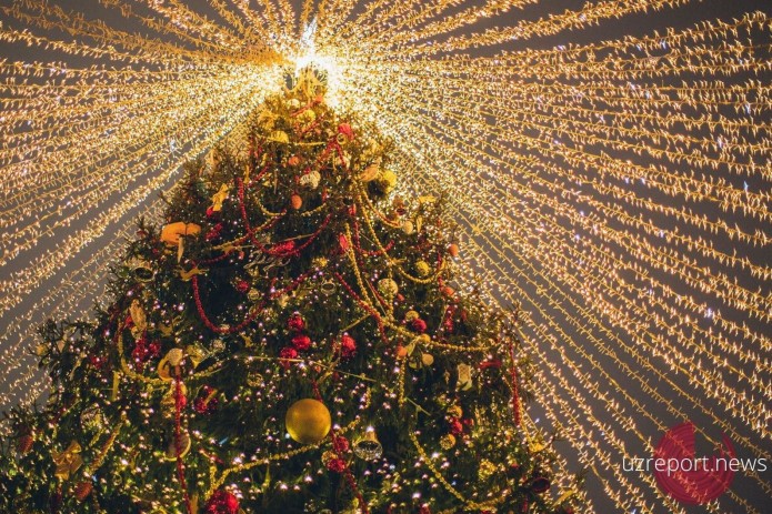 Uzbek government to install New Year trees in 16 areas of capital