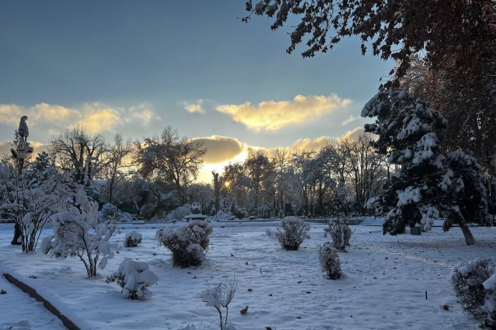 Uzbekistan braces for occasional cold spells despite labeled “Warm Winter”