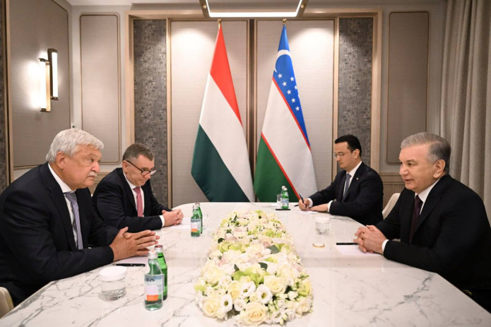 Shavkat Mirziyoyev "OTP Bank Group" rahbari Shandor Chani bilan uchrashdi