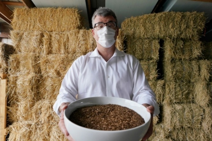 Human Composting Now a Burial Choice in Colorado