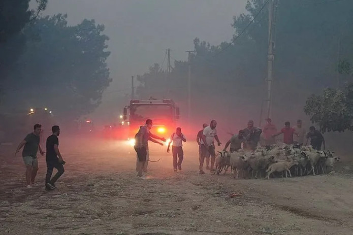 Turkiyaning Izmir shahridagi o‘rmon yong‘inlari aholi punktlariga yetib bordi