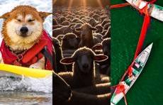 Ispaniya moda haftaligi, Aydaxo shtatidagi qo'ylar podasi, Kaliforniyadagi quyosh botishi. Hafta suratlari