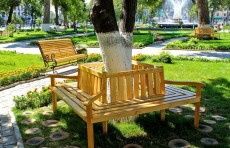 Гражданам Ташкента предложили  выбрать локации, где места для скамеек и урн особенно необходимы