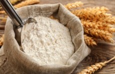 O‘zbekiston respublika tovar-xom ashyo birjasida unning dastlabki savdolari bo‘lib o‘tdi