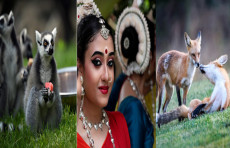 Hindistondagi Ratha Yatra festivali ishtirokchilari, Xitoy hayvonot bog‘idagi halqa dumli lemurlar, Kaliforniyaning Santa Klara shahridagi tulkilar. Kun suratlari
