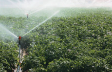 Suv tejovchi texnologiyalarni joriy qilish tizimini takomillashtiriladi