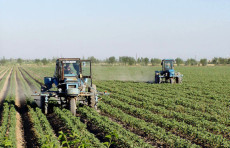 2025-yilda 100 ming gektar yer 200 ming oilaga ijaraga beriladi