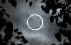 Последнее солнечное затмение 2019 года. Кольцо огня в небе. Фотографии