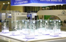 Paxtachilik tarmog‘i uchun mas’ul bo‘lgan yagona tashkilot – “O‘zpaxtasanoat” AJ tashkil etildi