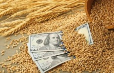 Iyul oyida birja orqali 184 ming tonnadan ziyod bug‘doy sotildi