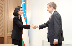 Saida Mirziyoyeva AQSh davlat kotibi yordamchisi bilan uchrashuv o‘tkazdi