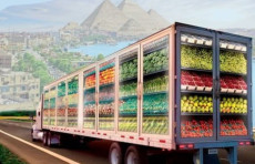 2026-yildagi ilk bozor: O‘zbekiston uzumlari Koreya Respublikasi bozoriga chiqmoqda