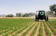 O'zbekiston qishloq xo'jaligi fanlari akademiyasi tashkil etiladi