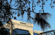 UzAutoMotors, UMS, 10 ta IES va yana bir qator yirik korxonalar sotuvga qo‘yiladi