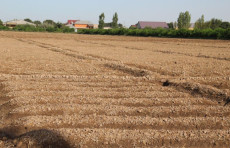 Kadastr agentligi: O‘zboshimcha egallangan yerlarni qonuniylashtirish qimmatlashmaydi