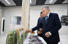 Prezident “Wosune Food Ingredients Karşi” korxonasi faoliyati bilan tanişdi