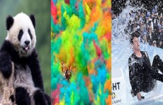 Xitoyning Volung qo'riqxonasidagi ulkan panda, Moskvadagi rang-barang poyga ishtirokchilari, Serbiyadagi suv sporti bo‘yicha Yevropa chempionati. Xafta suaratlari