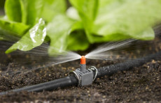 Sug'orishda suv yo'qotishlari kamaytiriladi