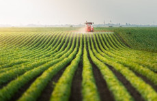 Jizzax viloyatida sanoat va qishloq xo‘jaligi boshqaruvi takomillashtiriladi